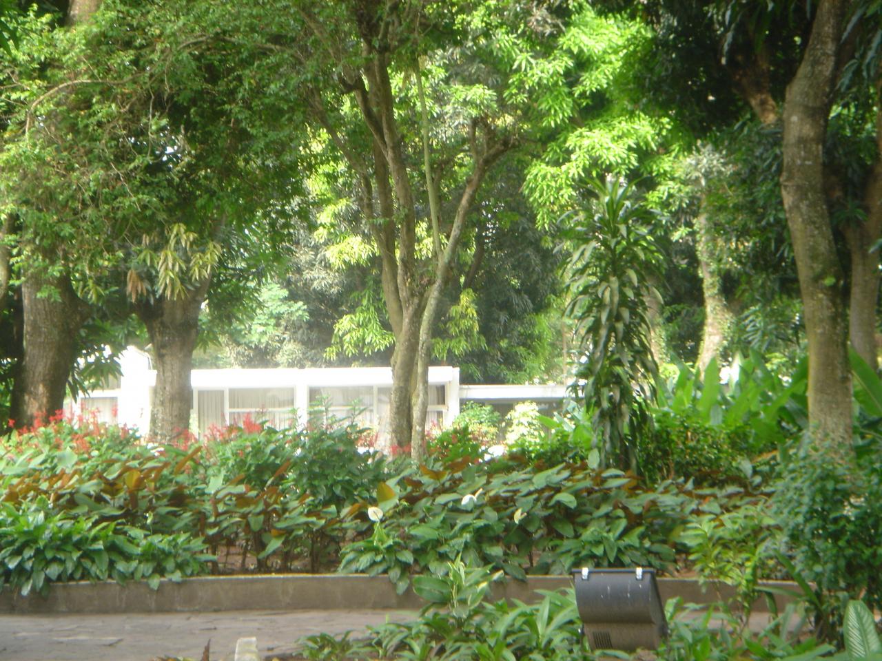 congo (14)