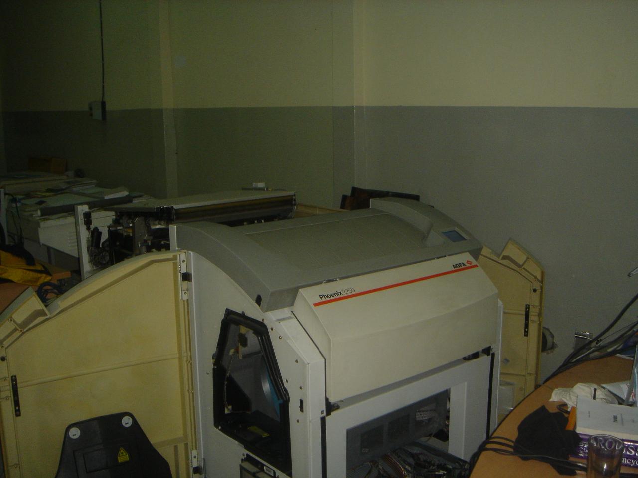 congo (26)