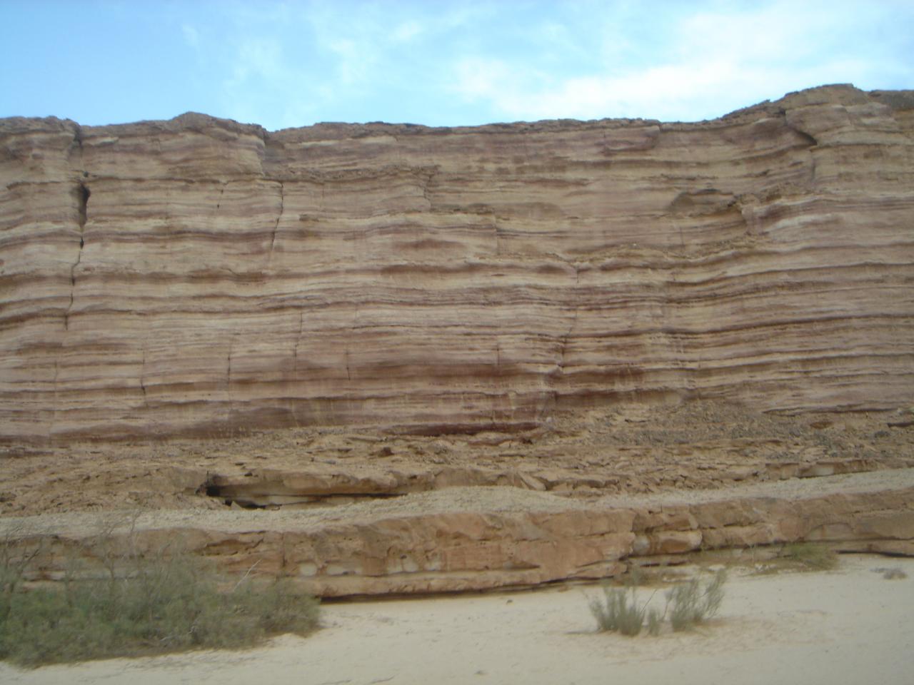 DSC03949