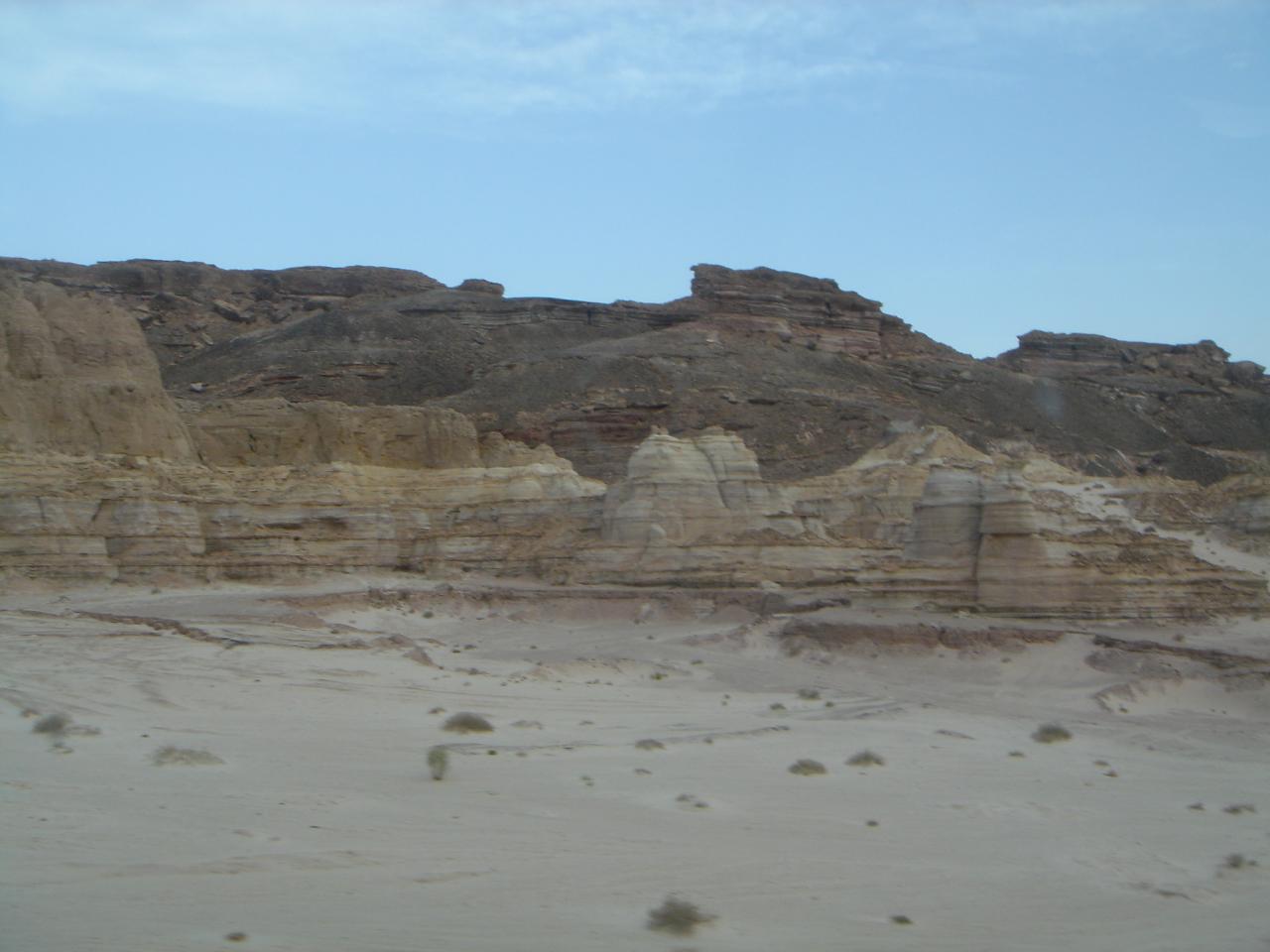 DSC03950