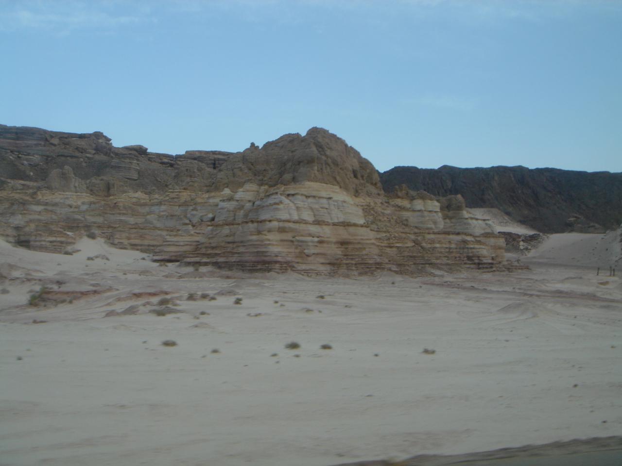 DSC03951