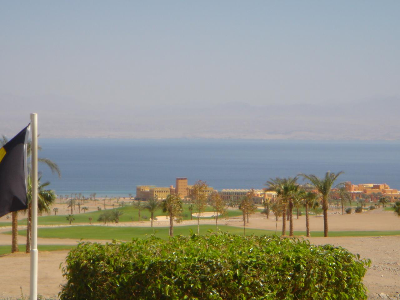DSC03985