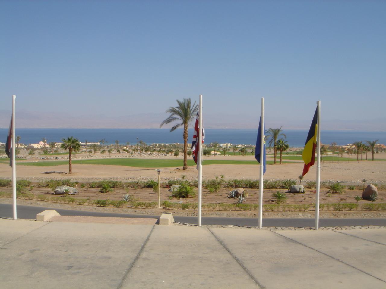 DSC03988