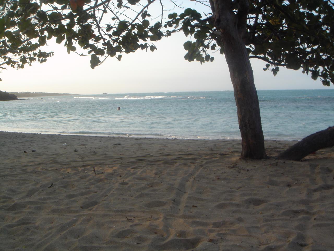 DSC05660