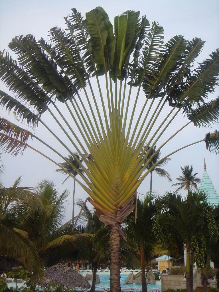 DSC05771