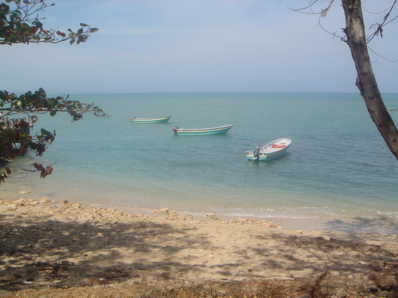 DSC05788