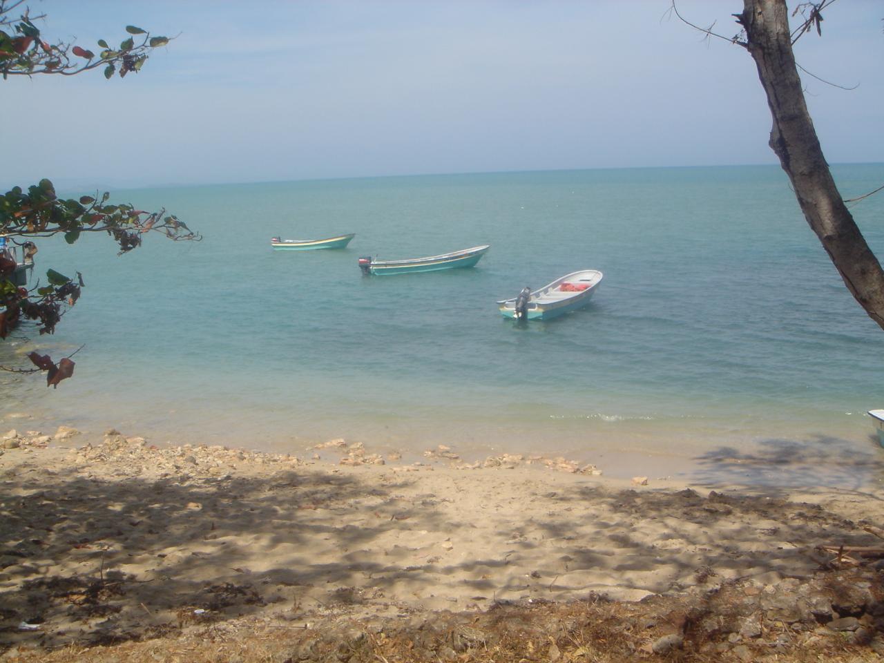 DSC05789