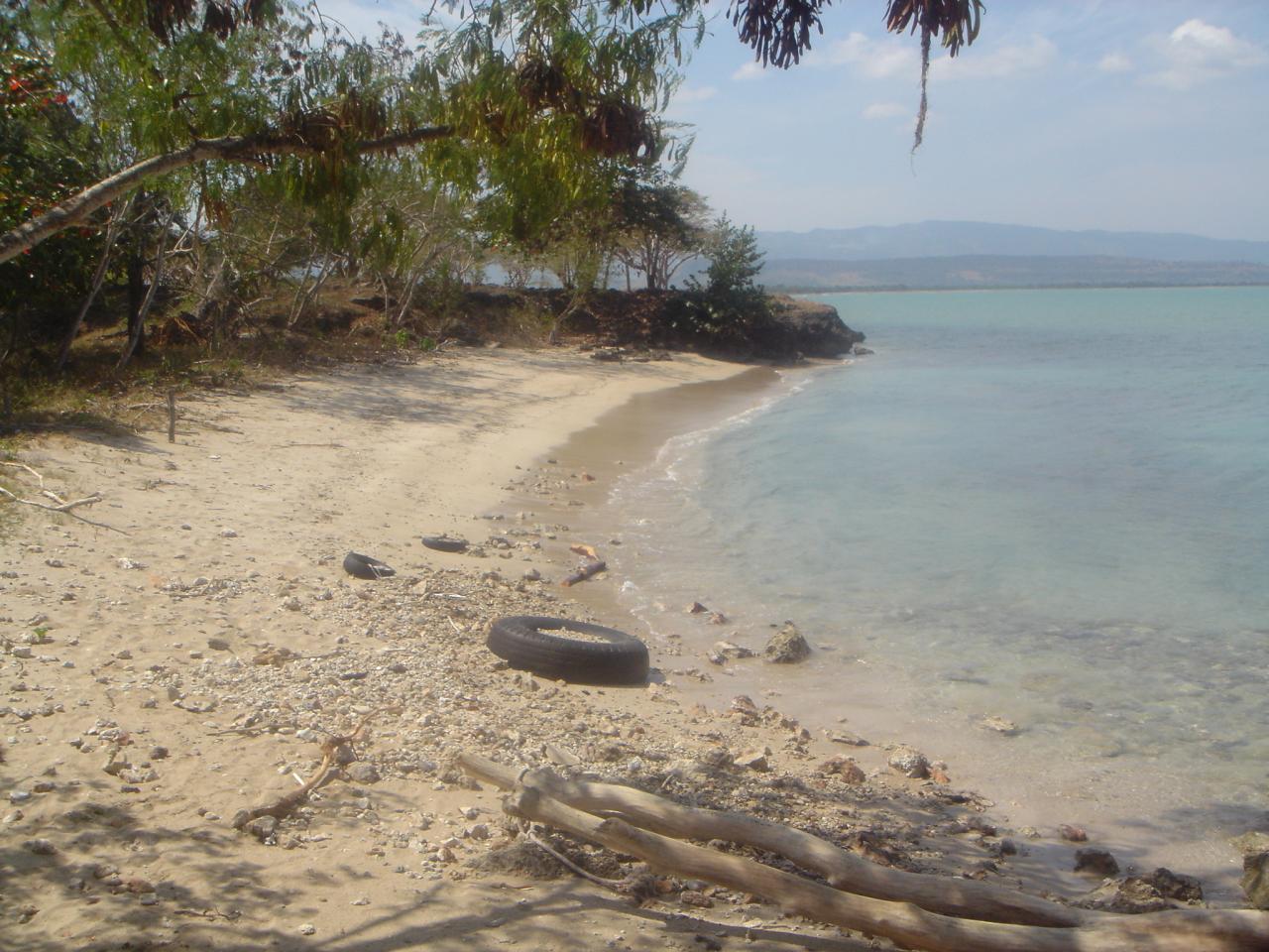 DSC05790