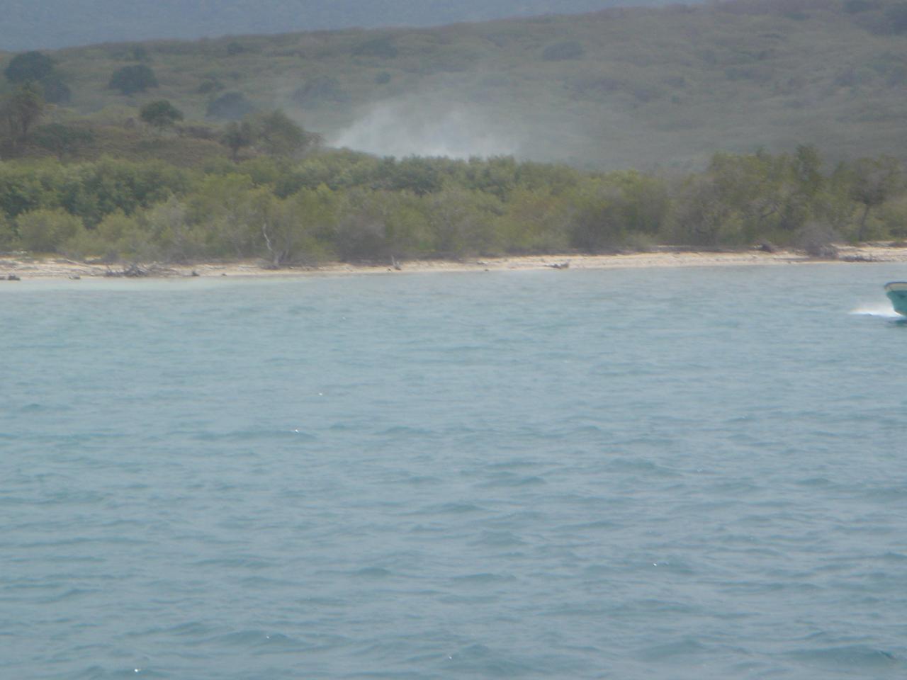 DSC05831