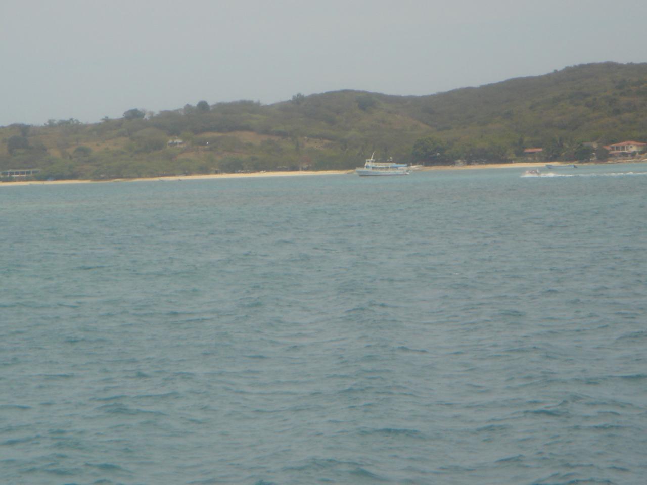 DSC05834