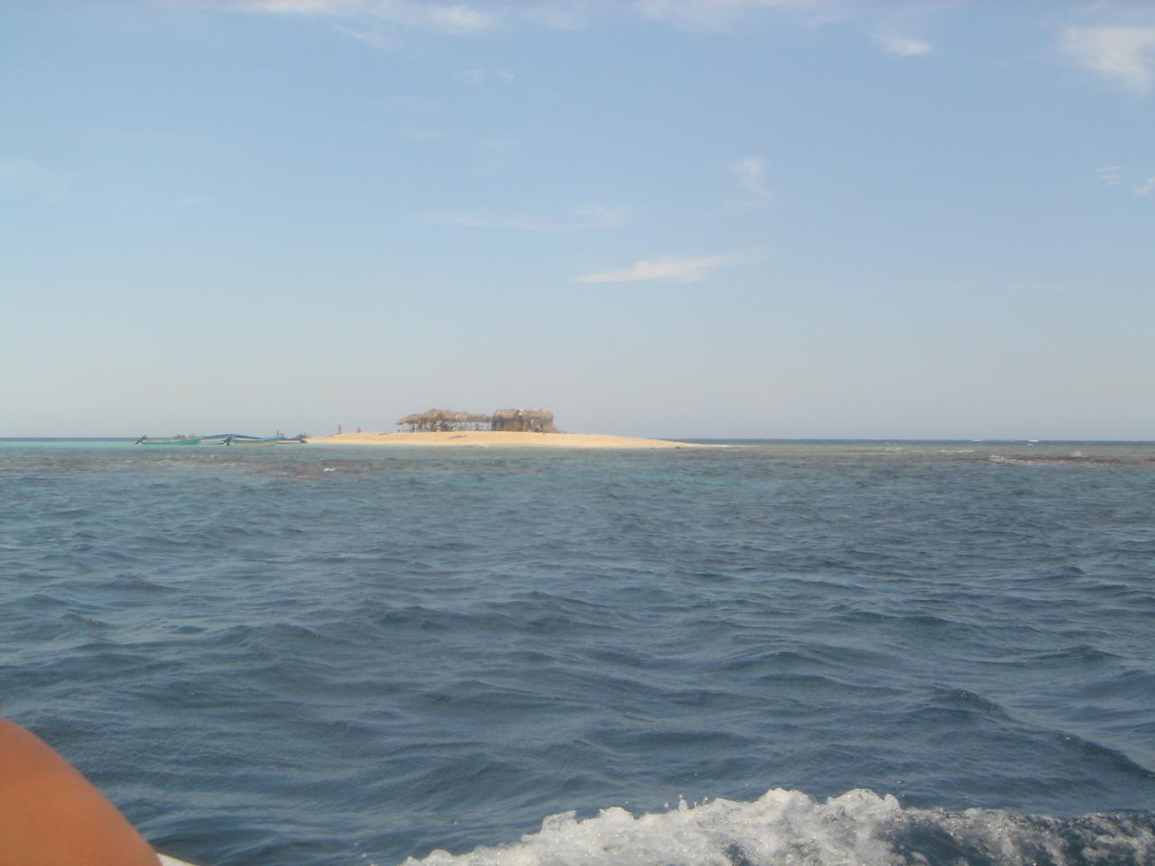DSC05849