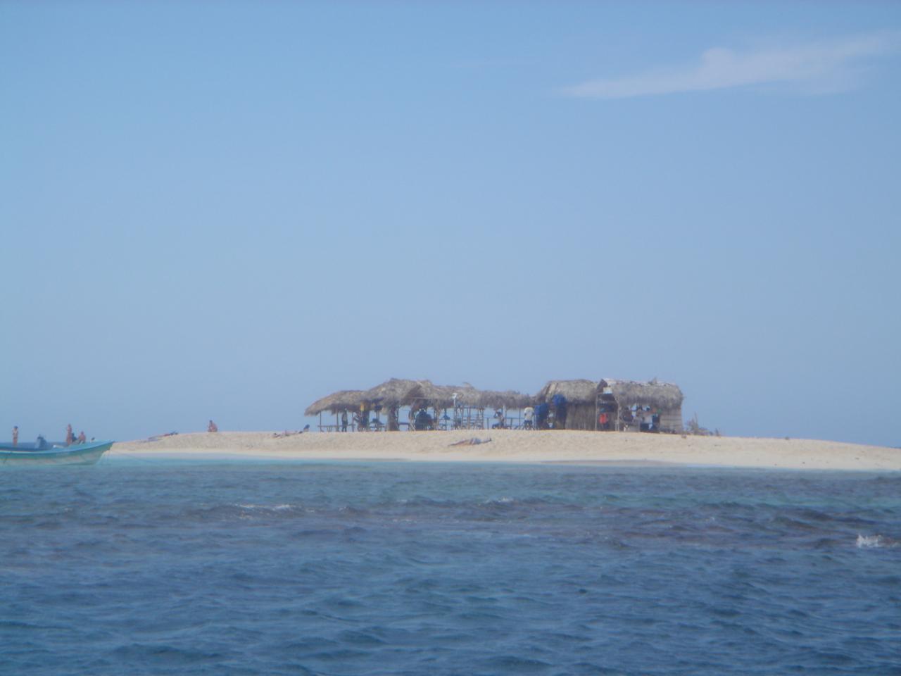 DSC05850