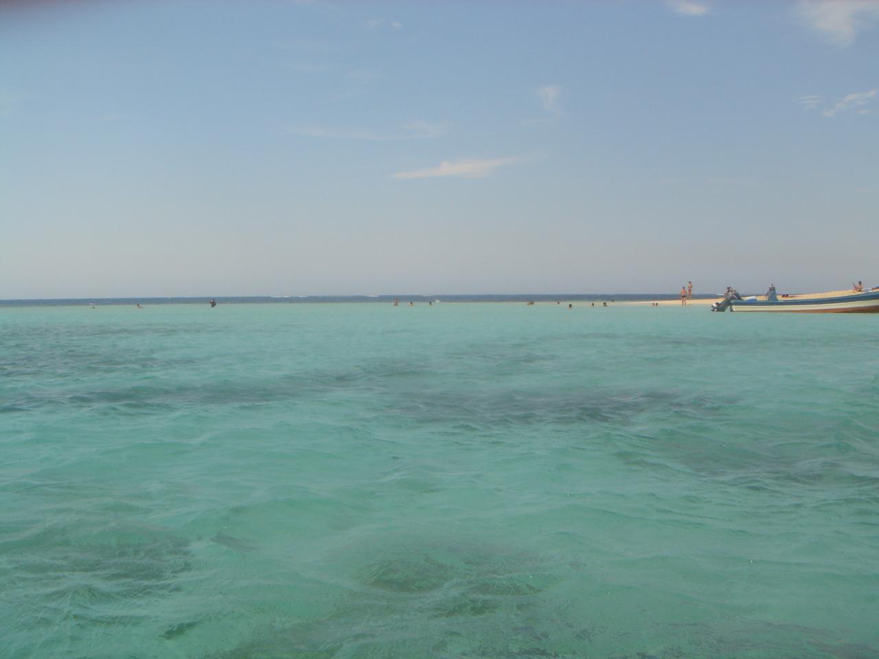 DSC05851