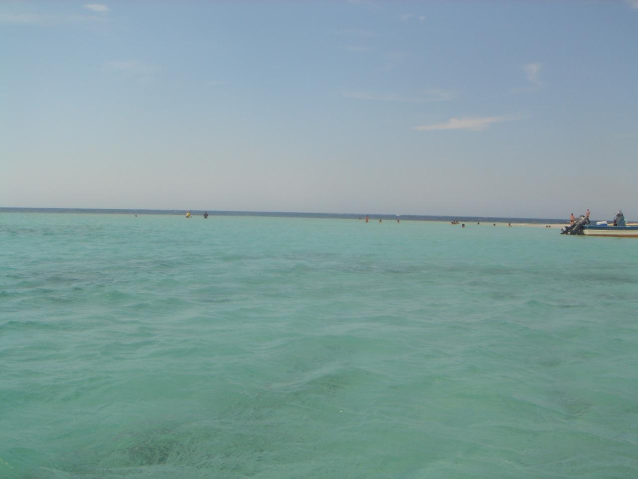 DSC05852
