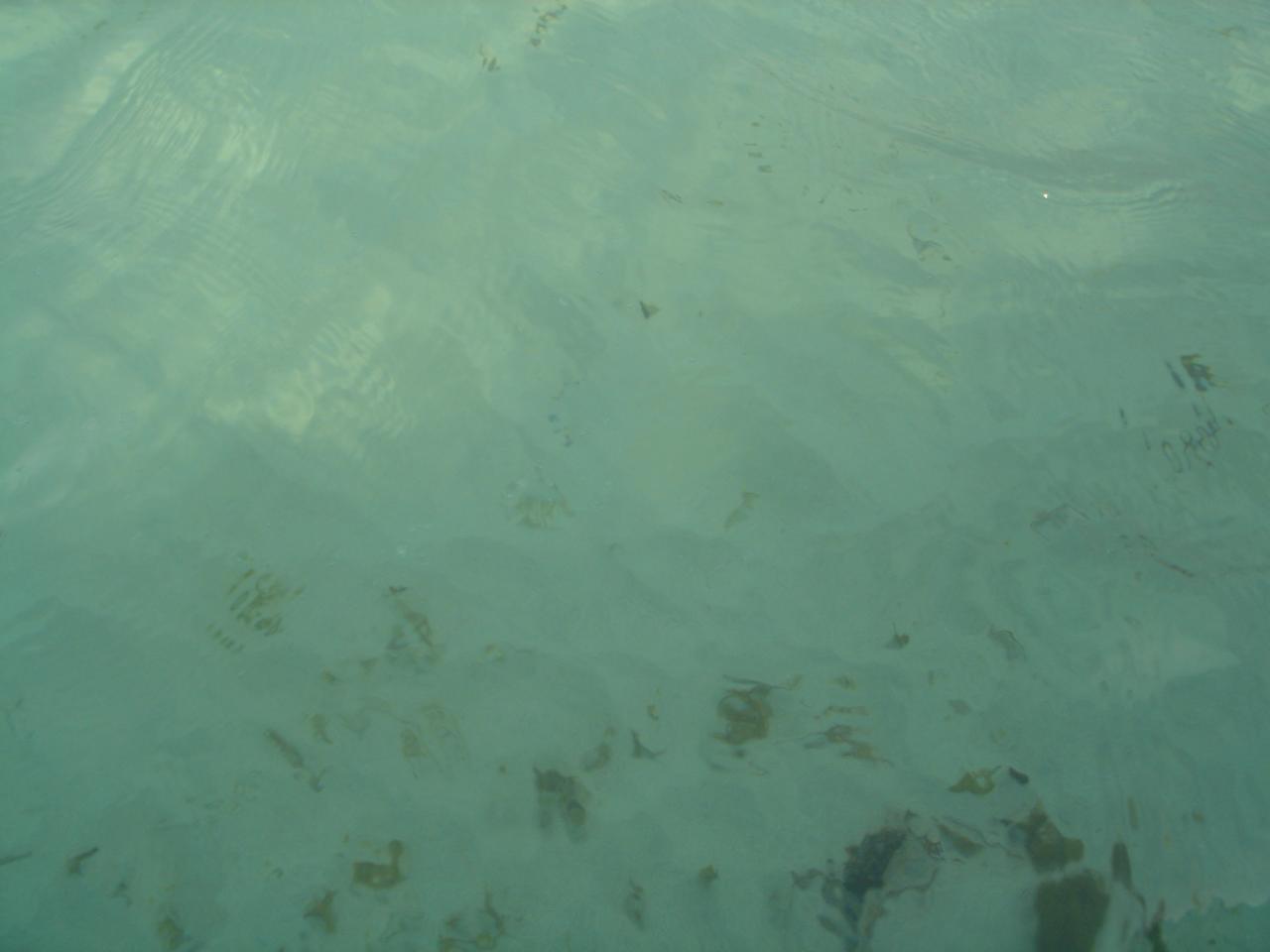 DSC05854