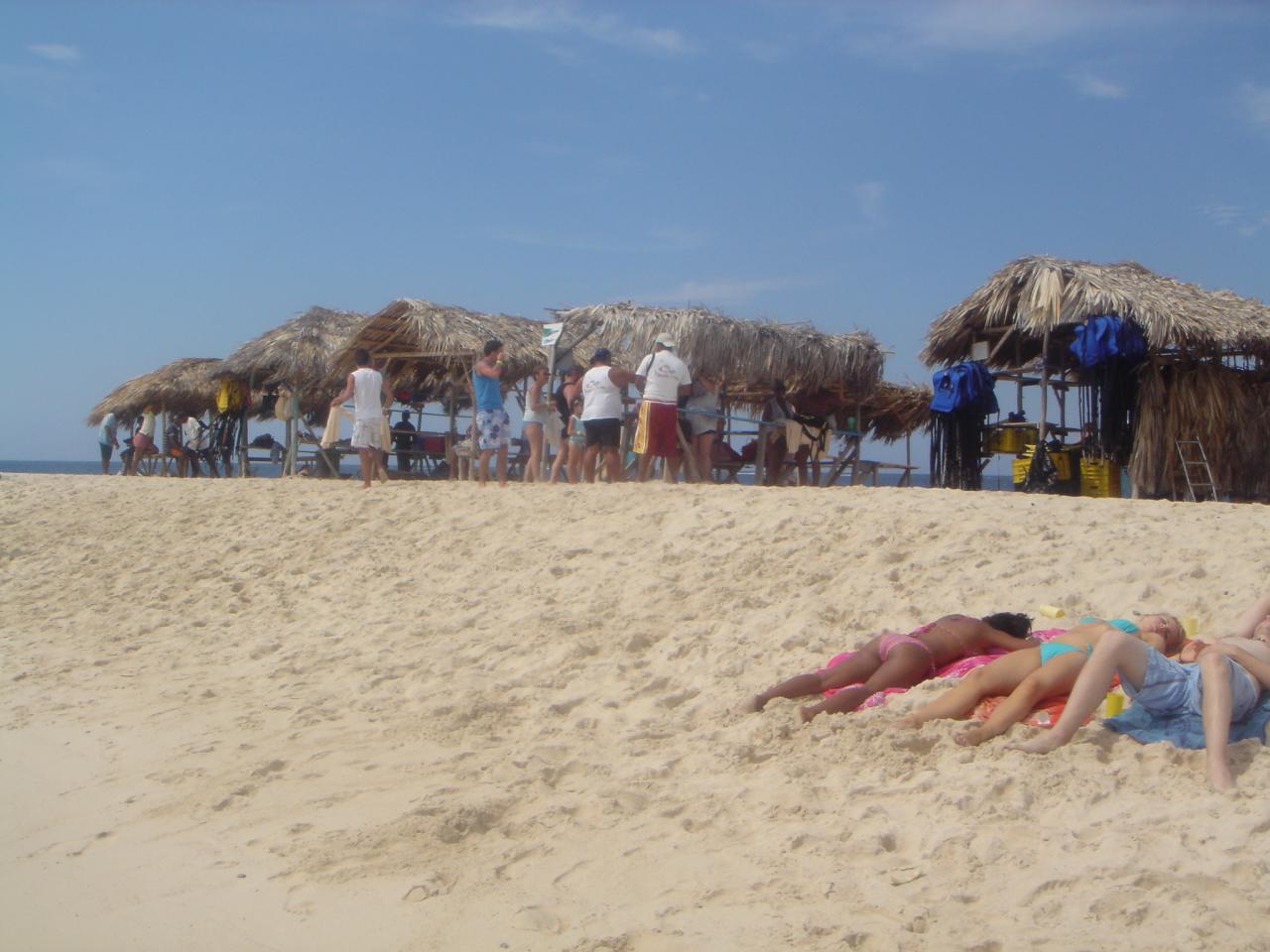 DSC05856