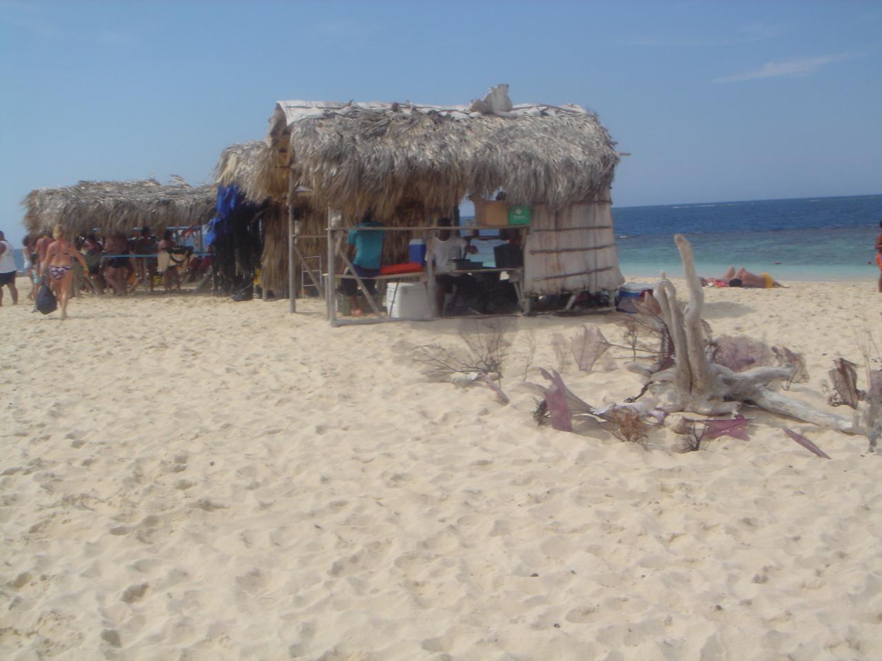 DSC05859