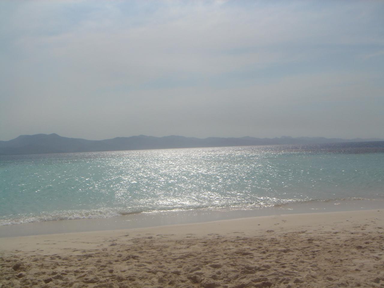 DSC05869