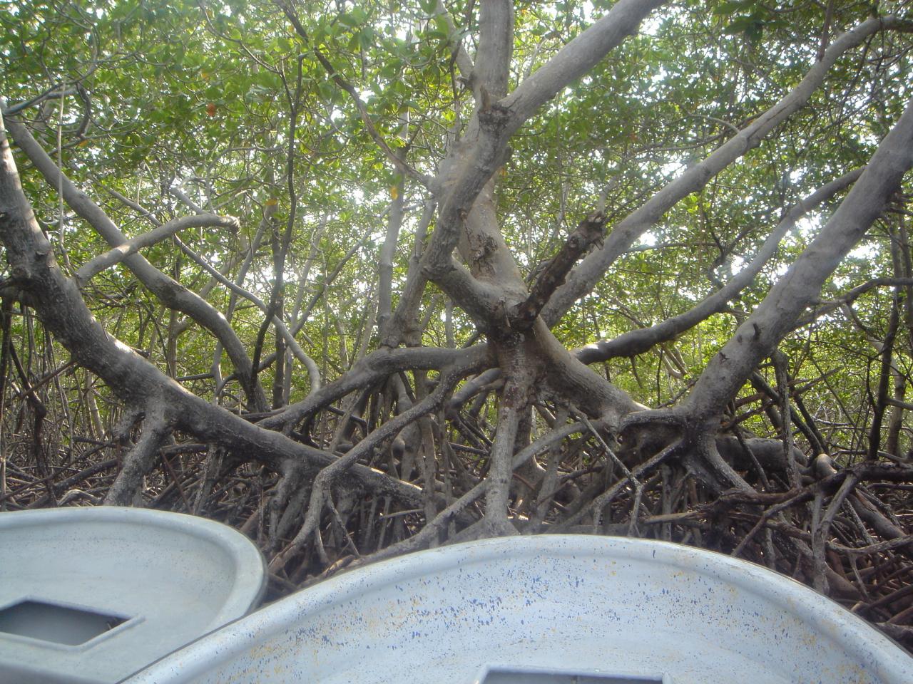 DSC05873