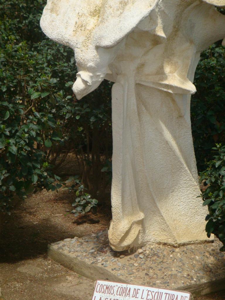 DSC06299